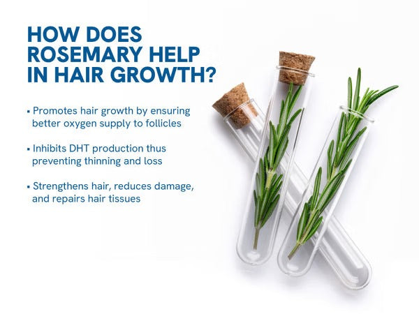 Lasple™ - Hair Growth Serum Roll